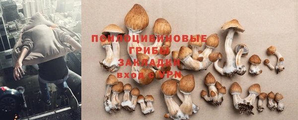 каннабис Алексин